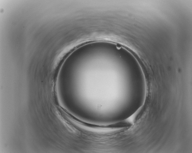 X0000066511507200603241253