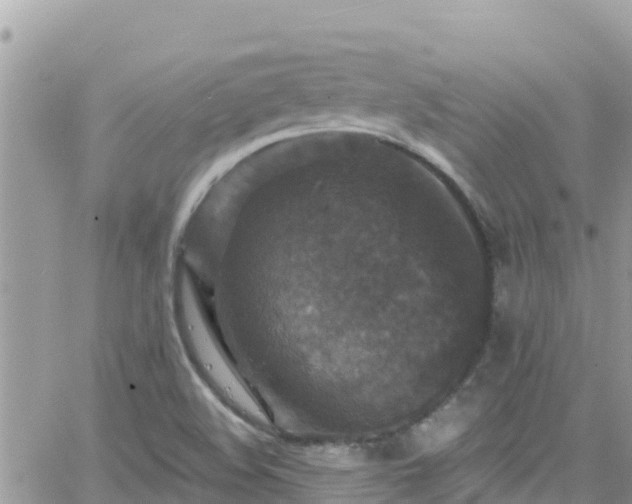 X0000066511508200603241253