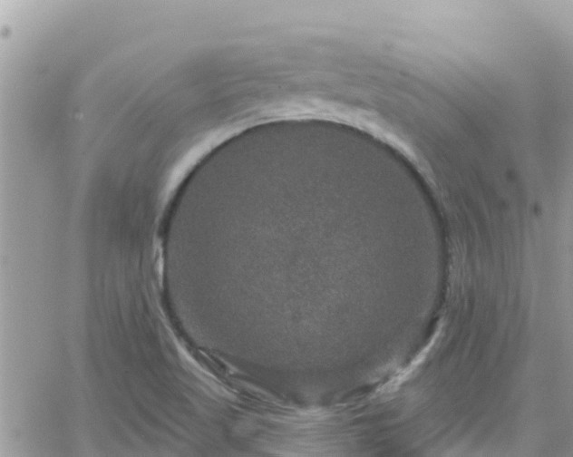 X0000066511509200603241253