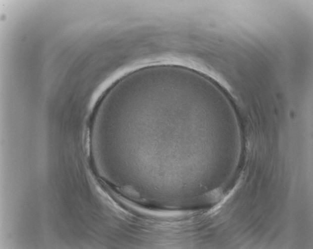 X0000066511510200603241253