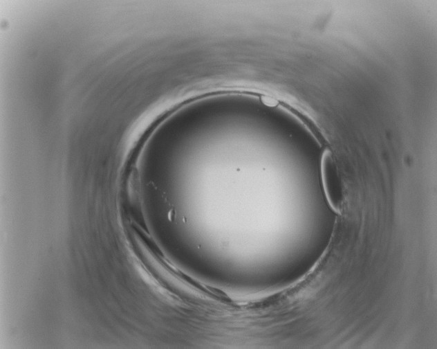 X0000066511511200603241253