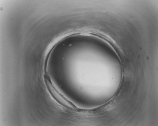 X0000066511512200603241253