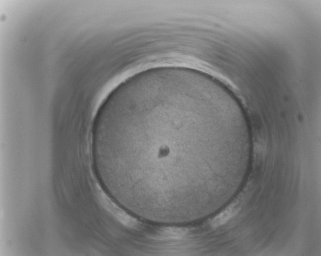 X0000066511514200603241254