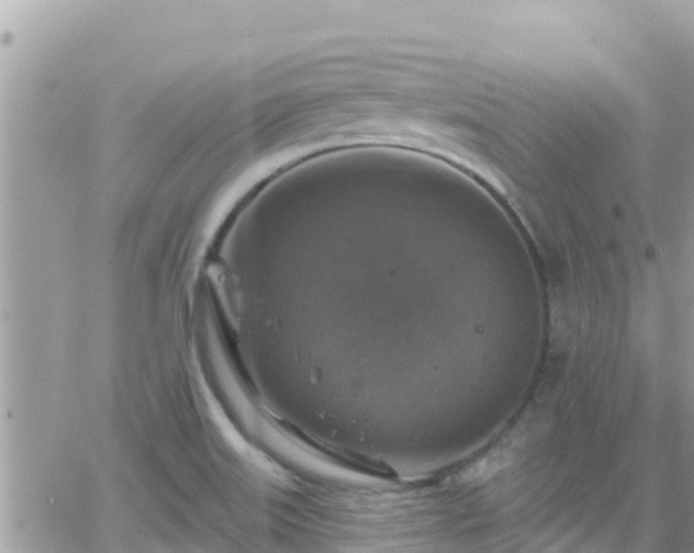 X0000066511515200603241254