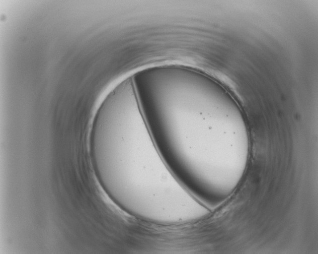 X0000066511516200603241254