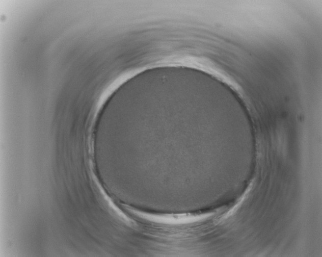 X0000066511517200603241254