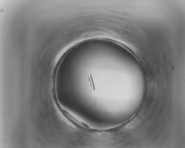 X0000066511518200603241254