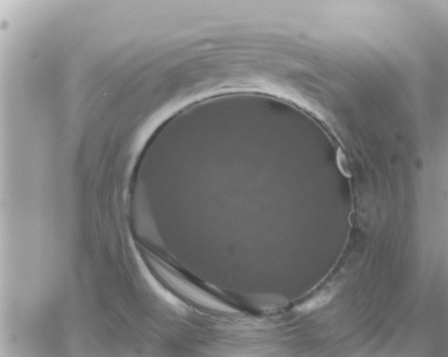 X0000066511519200603241254