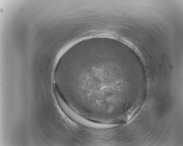 X0000066511520200603241254