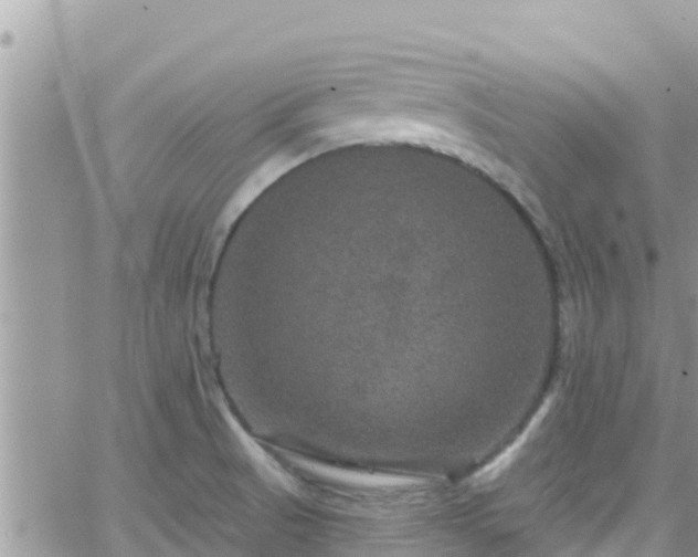 X0000066511521200603241254