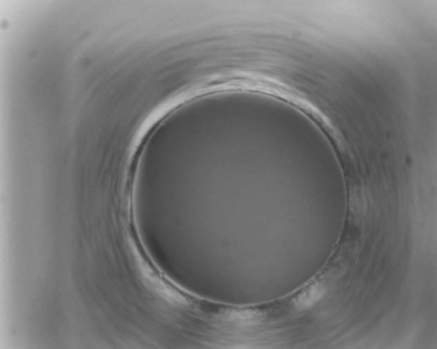 X0000066511522200603241254