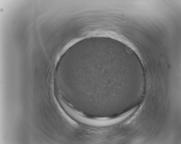 X0000066511525200603241254