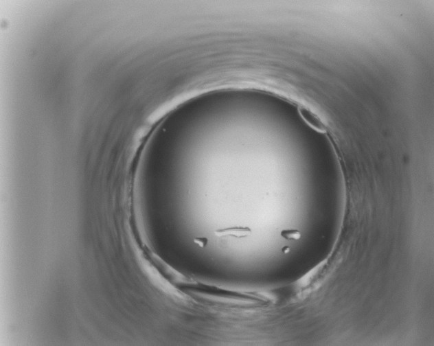 X0000066511526200603241254