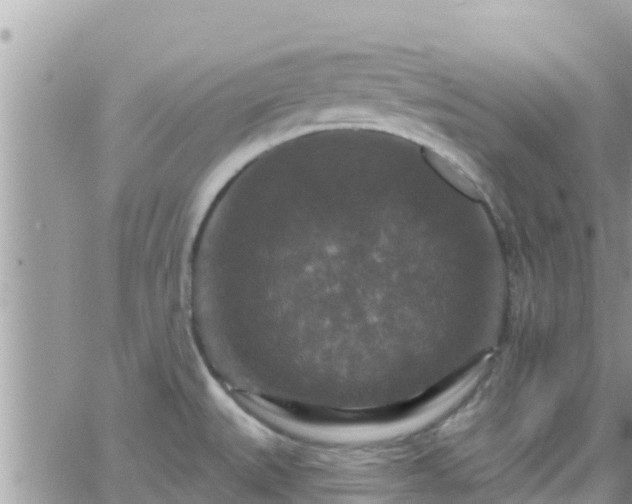 X0000066511527200603241254