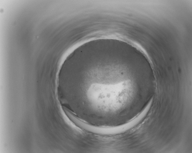 X0000066511528200603241254