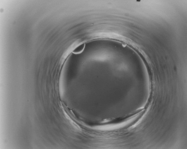 X0000066511529200603241254