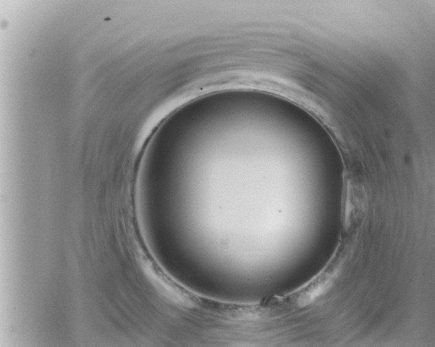 X0000066511530200603241254