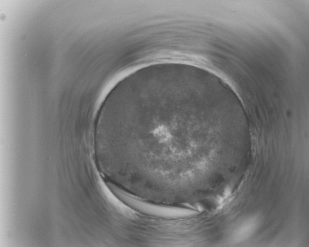 X0000066511531200603241254