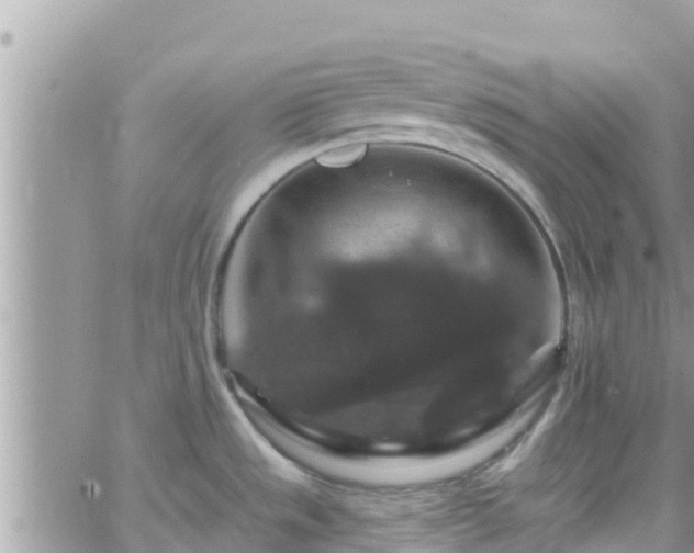 X0000066511533200603241254