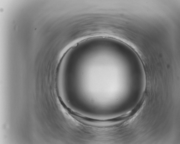 X0000066511534200603241254