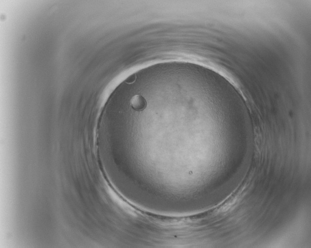 X0000066511535200603241254