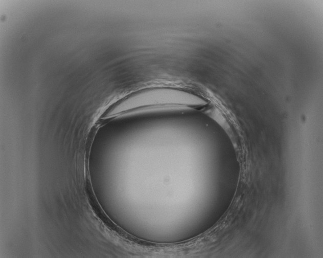 X0000066510011200603311741
