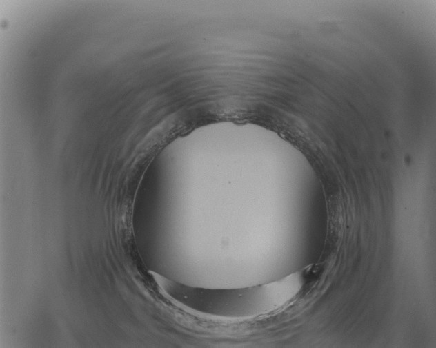 X0000066510044200603311740
