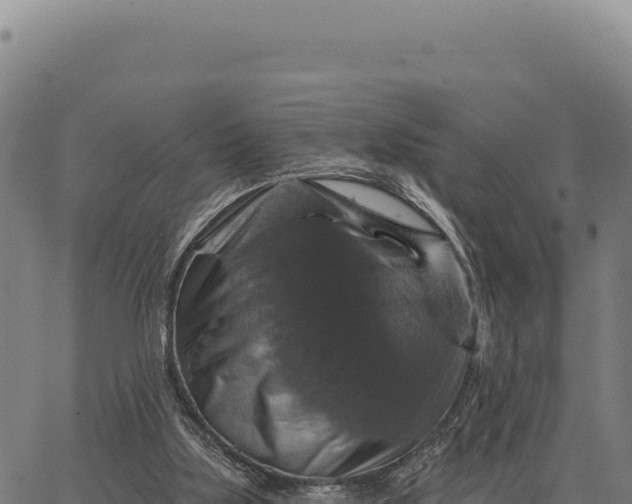 X0000066510059200603311740