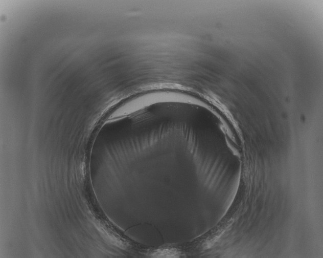 X0000066510063200603311740