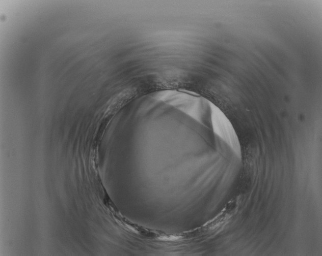 X0000066510139200603311739