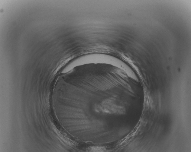 X0000066510154200603311738