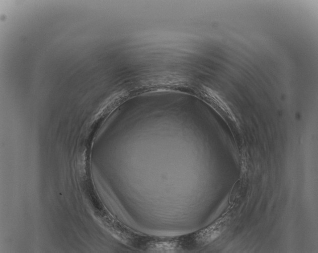 X0000066510163200603311738
