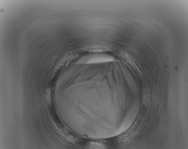 X0000066510167200603311738