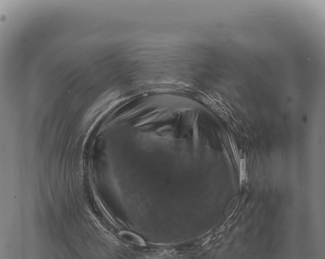 X0000066510243200603311736