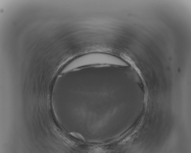 X0000066510249200603311736