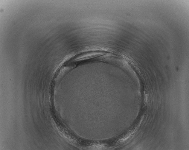 X0000066510256200603311737