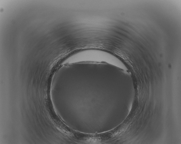 X0000066510303200603311736