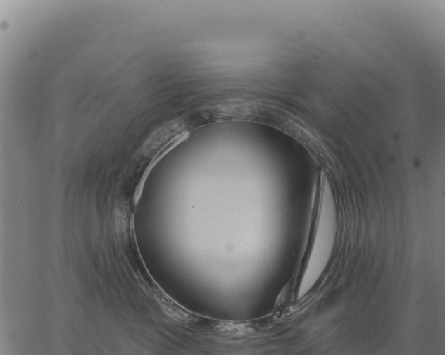 X0000066510333200603311736