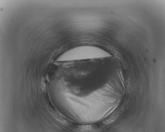 X0000066510361200603311735