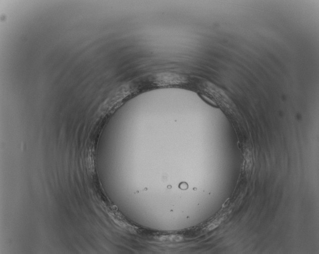 X0000066510426200603311734