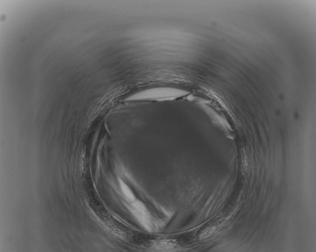 X0000066510451200603311733