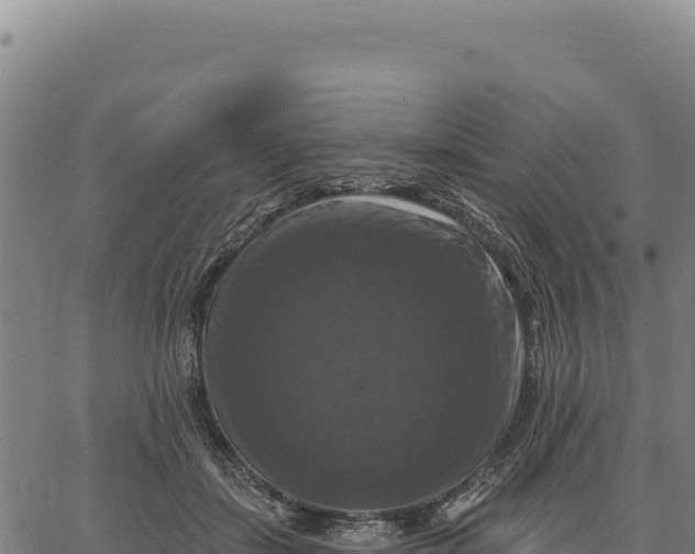 X0000066510459200603311734