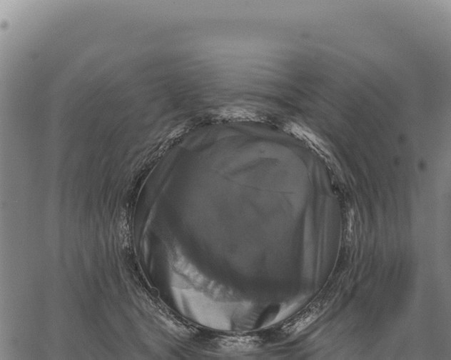 X0000066510465200603311734