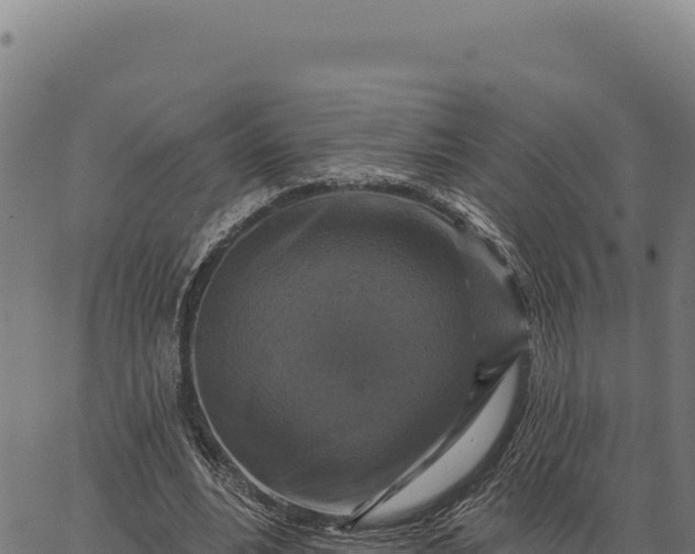 X0000066510488200603311733