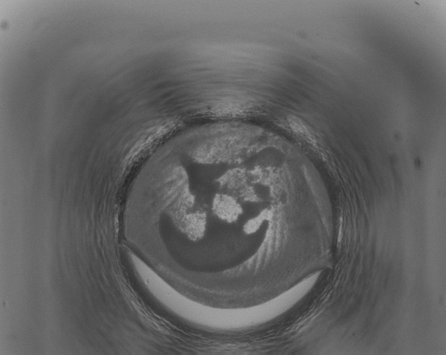 X0000066510495200603311733