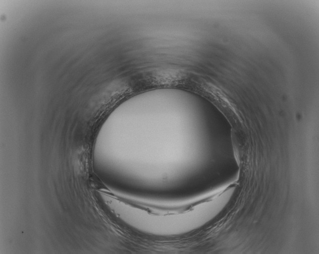 X0000066510505200603311733