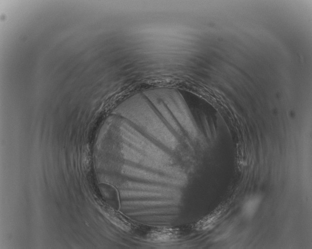 X0000066510563200603311732