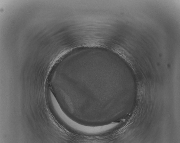 X0000066510584200603311731