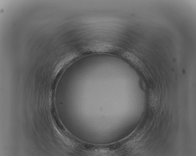 X0000066510586200603311731