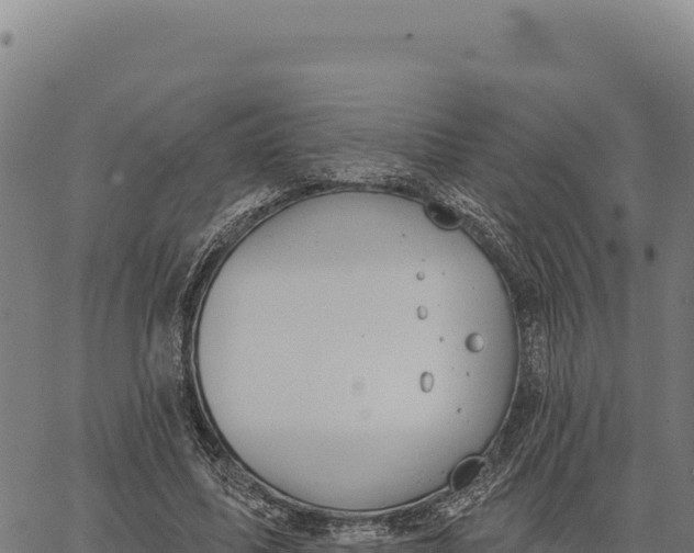 X0000066510587200603311731